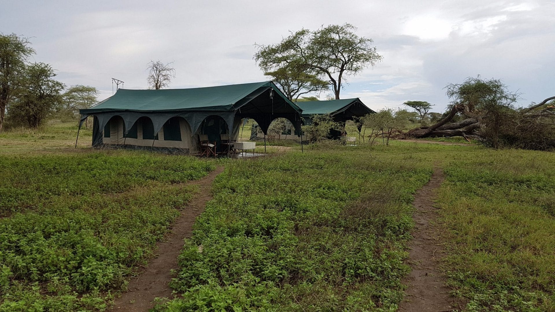 Kirurumu Tented Camp Kirurumu Tented Camp, Lake Manyara, Tanzania | Discover Africa Safaris
