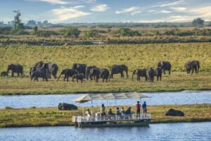 Safari tourists in a boat at watching a herd of Elephants, Chobe, Botswana