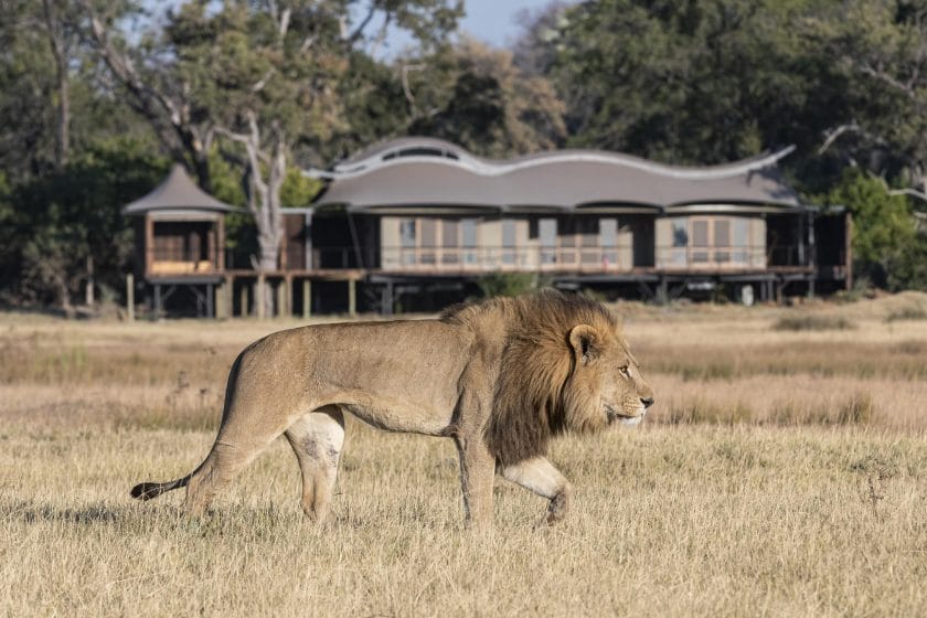 house of safari botswana