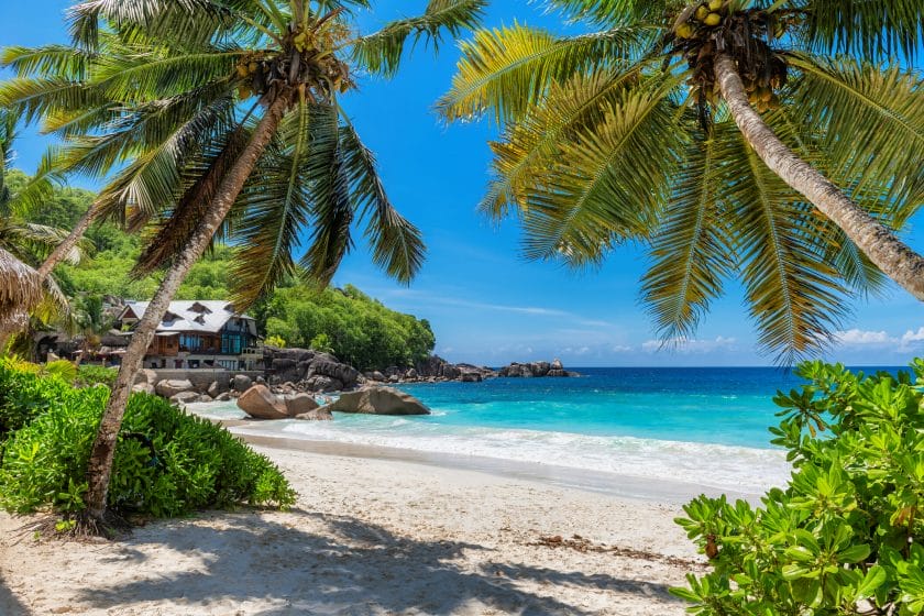 Tropical beach in Zanzibar