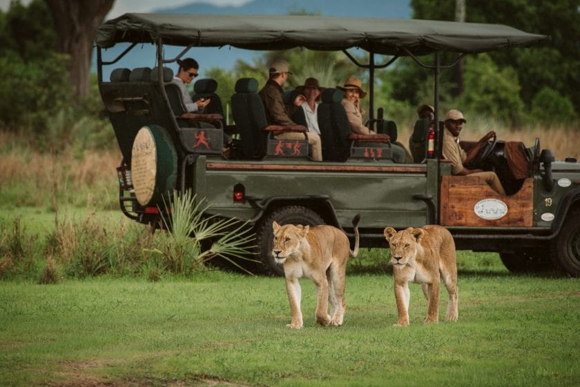 Game Drive and Lions | Photo credit: Katavi Wildlife Camp