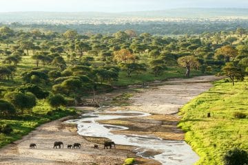 best safari lodges tanzania