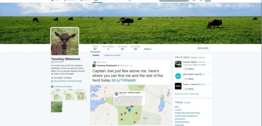 Meet HerdTracker – Our Great Wildebeest Migration prediction tool