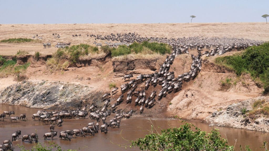 Masai Mara National Reserve | Discover Africa