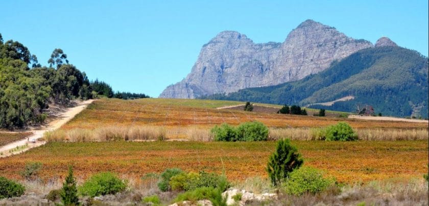 Exploring the Garden Route - Annemarie’s South African safari