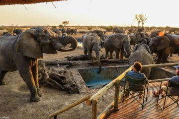 zimbabwe photo safari
