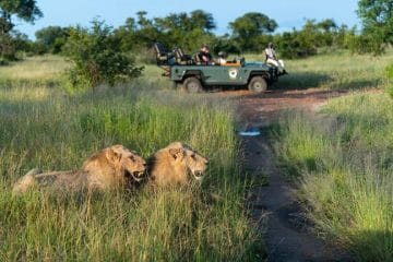 safari in africa vacanza