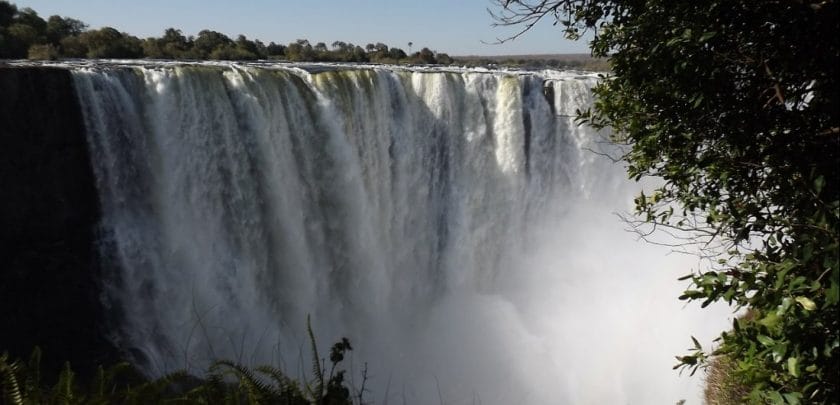 5 reasons why you should go on a Zambia safari