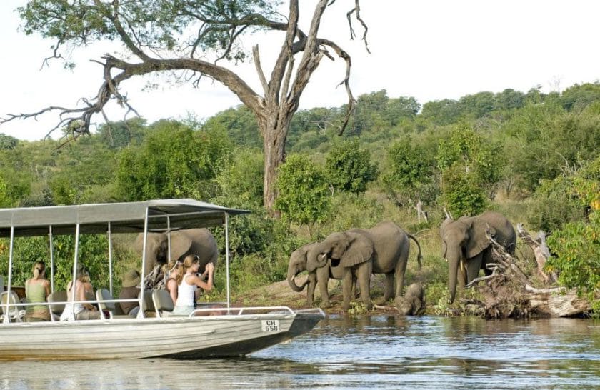 Tourists observing elephants from a boat cruise safari, Botswana.