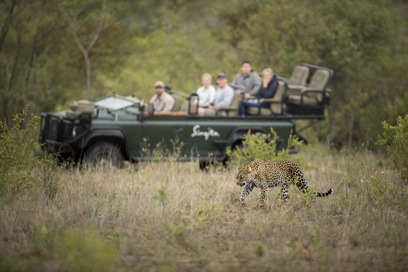 Southern Africa’s best photographic safari destinations