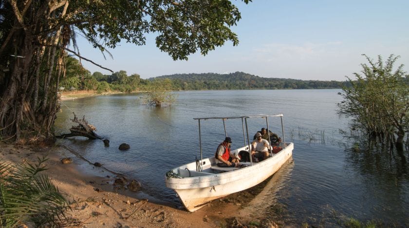 Five things to do in Rubondo Island National Park