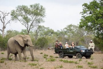 safari ride in south africa