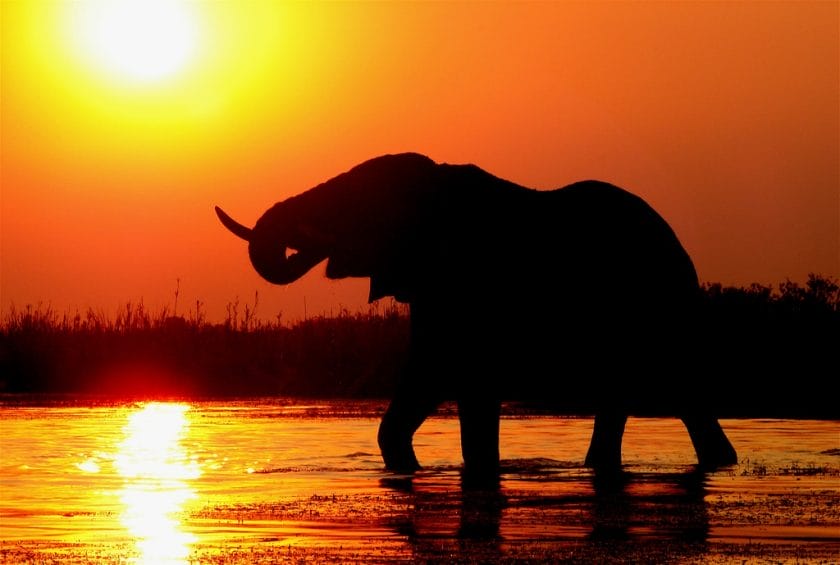 Five destinations in the Southern Africa to see the quintessential African sunset
