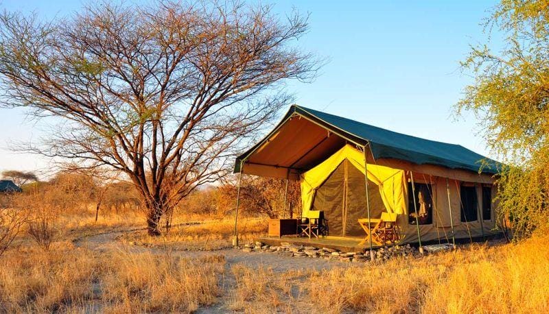 Escape to Tanzania’s top conservation lodges