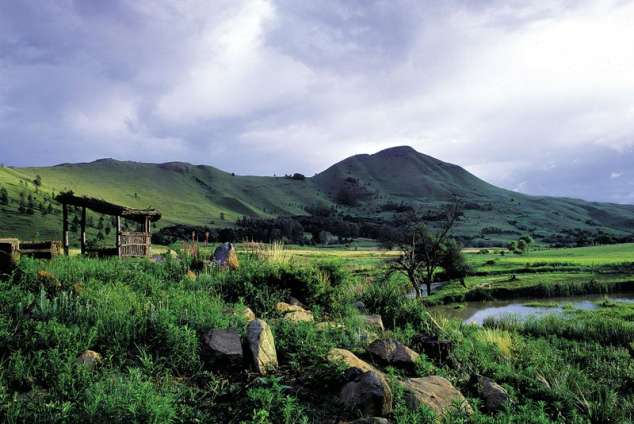 Go fly-fishing in the Dullstroom