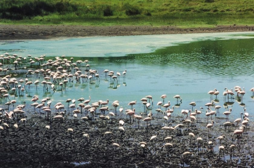 The Wonders of Arusha National Park