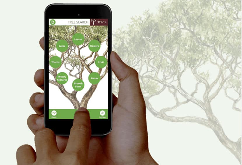 You can now use an app to identify any tree in Southern Africa
