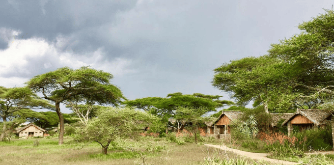 ndutu-safari-lodge