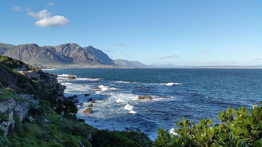 Whale Watching season in Hermanus along the garden route