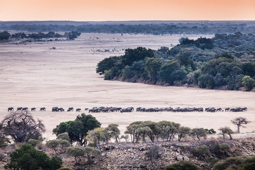 Mapungubwe National Park - South Africa