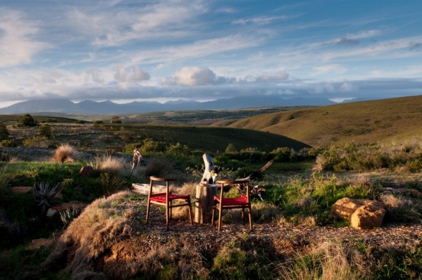 Lodges in South Africa: The dos and don'ts_Gondwana Game Reserve