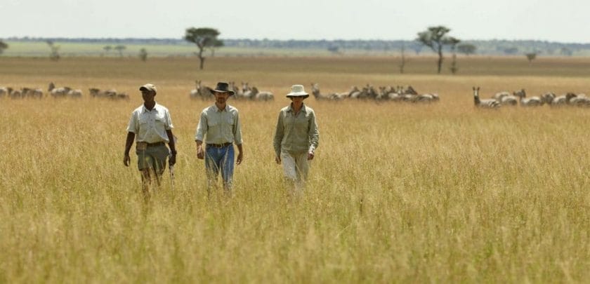 Share the wonder of a Great Migration safari with your partner