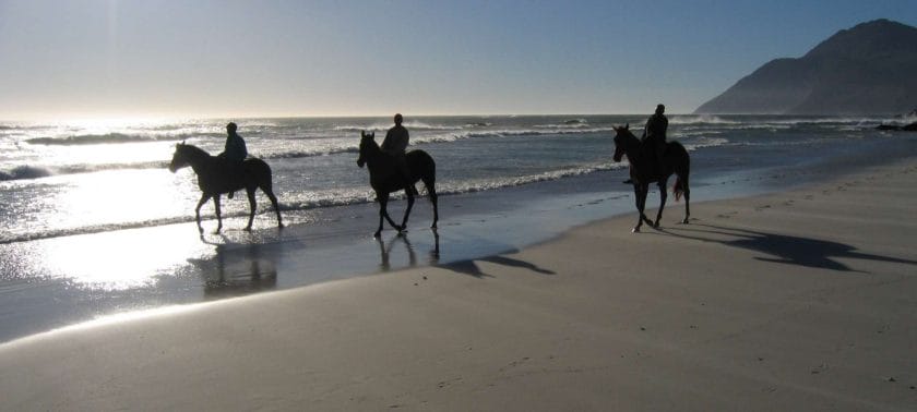 An active holiday in South Africa_Horseback riding Noordhoek
