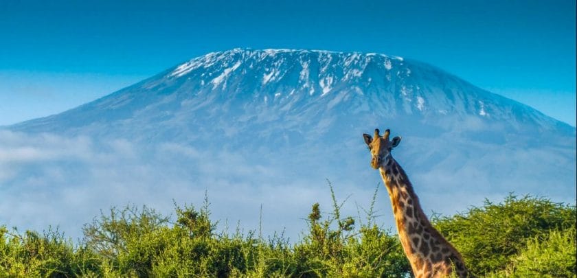 Trekking Mount Kilimanjaro