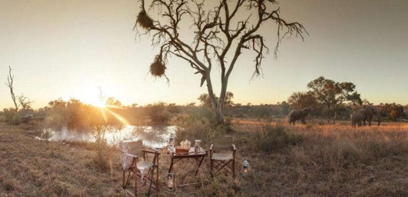 Kruger national park south africa safari timbavati kings camp