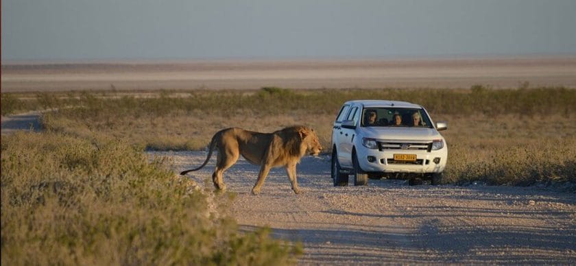 Namibia Self Drive Safari