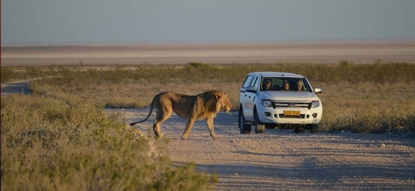 South Africa vs Namibia