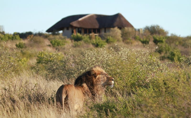 Four camps and lodges in Botswana that are perfect for families