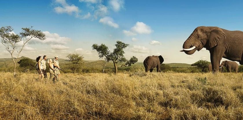 Walking safari holidays in South Africa