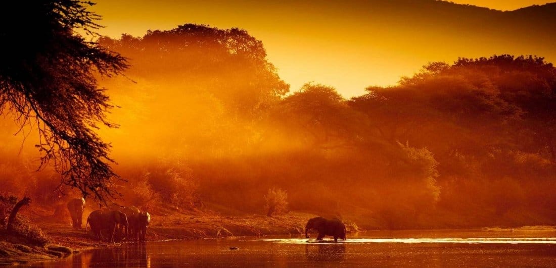 african safari victoria falls african safari victoria falls