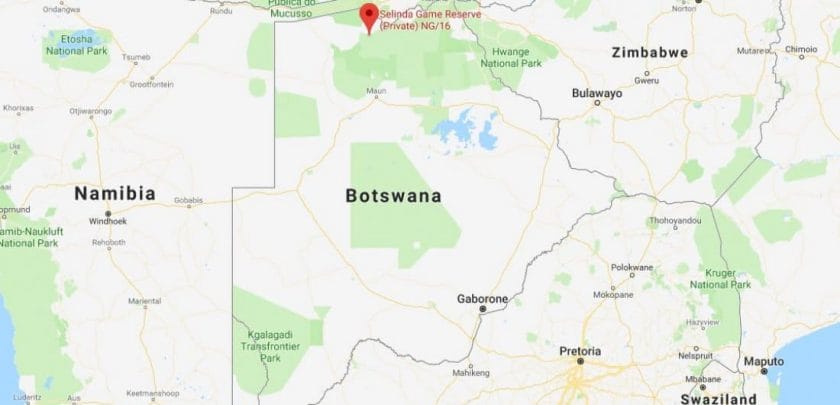 Why you should consider Selinda for your Botswana safari