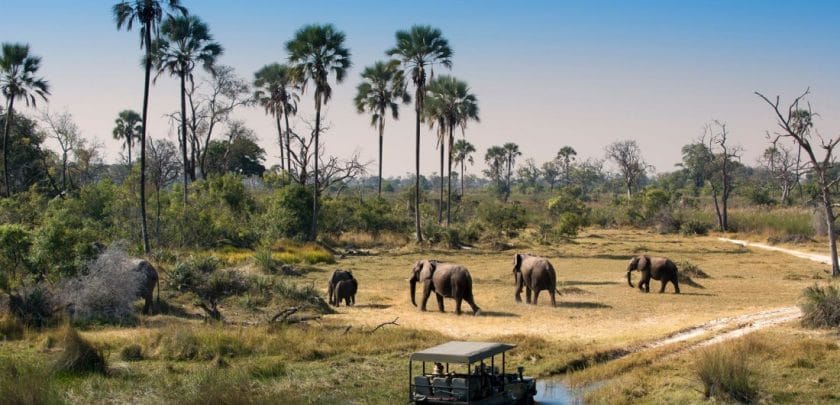 Botswana: What makes the world's most expensive safaris so special