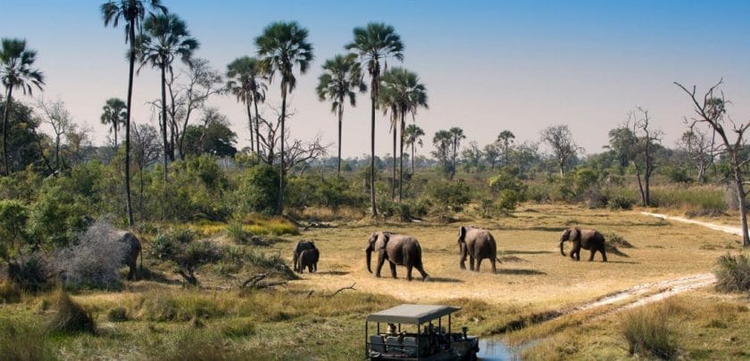 Three things that define a luxury safari in Botswana