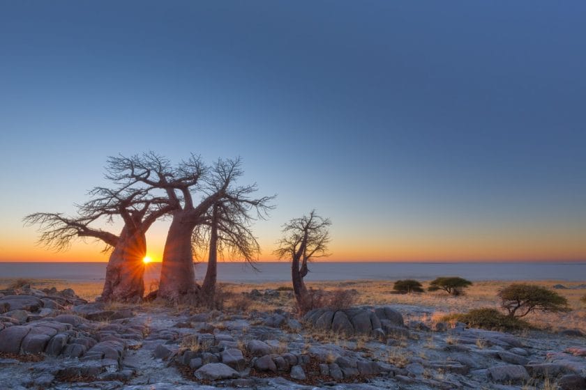 Sunrise at Kubu Island, Botswana