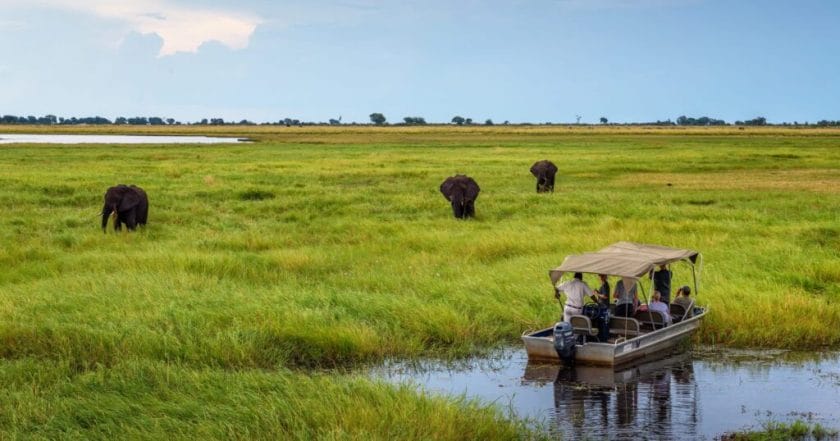 safari botswana buchen