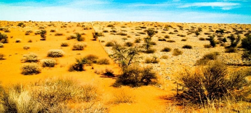 Vast landscape of the Central Kalahari Game Reserve in Botswana.