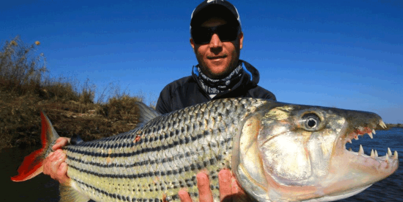 Tiger fishing is a favorite pastime in Botswana