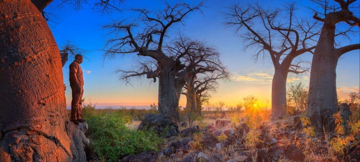 botswana safari in december