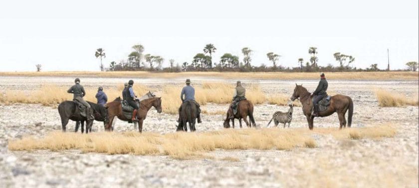 Horse riding expeditions are a great way to view wildlife