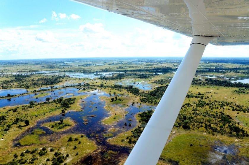 the view from an aircraft flying over the Okavango delta 