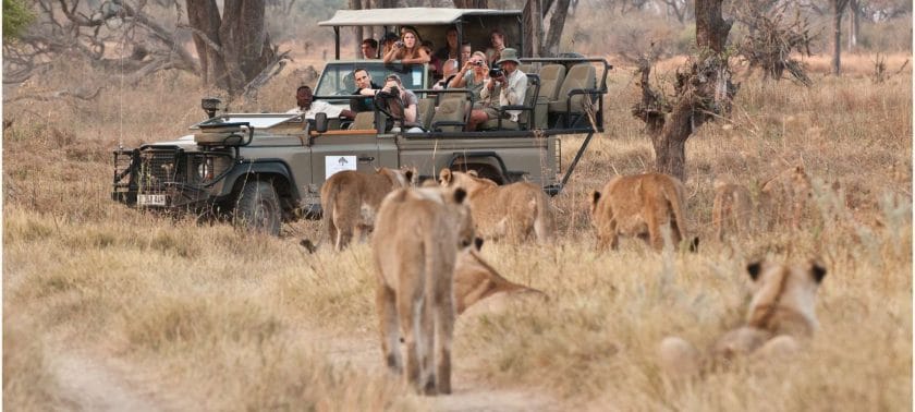 Families can enjoy safaris in Botswana