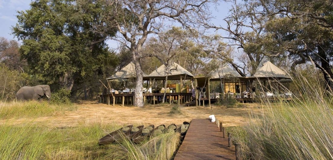 wilderness safaris botswana camps