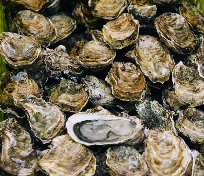 Oysters you can expect to eat in Namibia