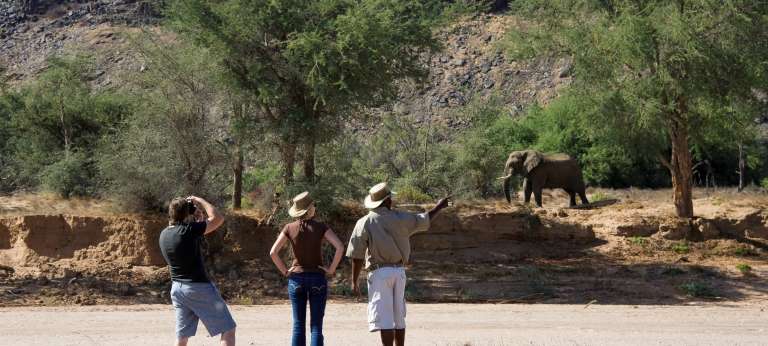 Walking Safaris in Damaraland