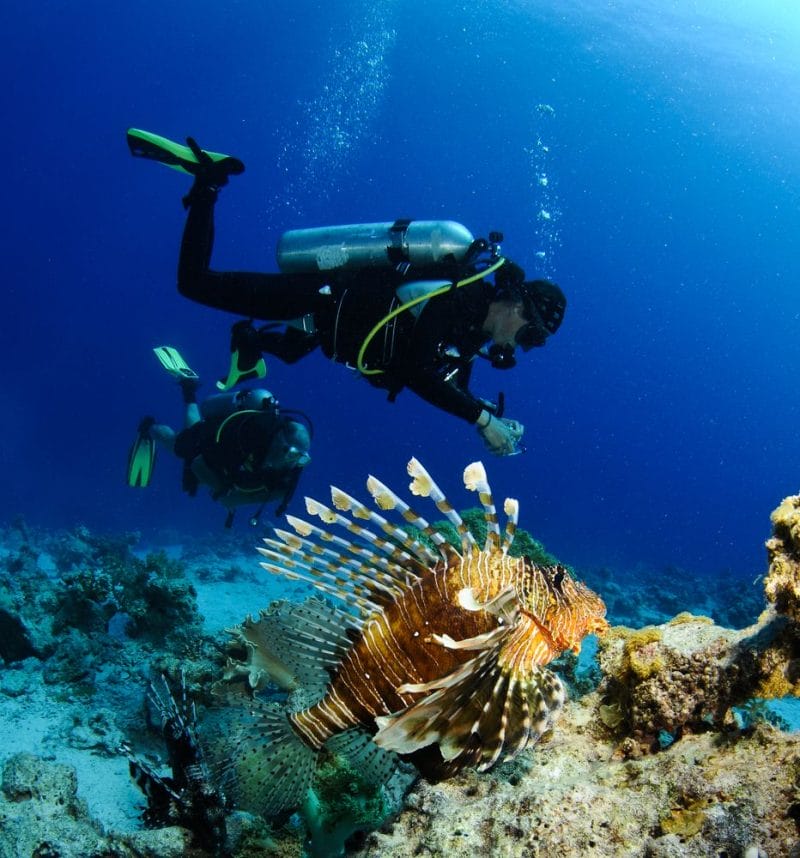 Wasini Island Diving, Mombasa.