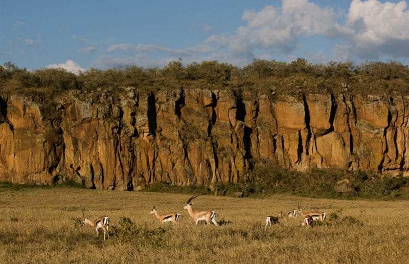 Hell's Gate National Park,Kenya.